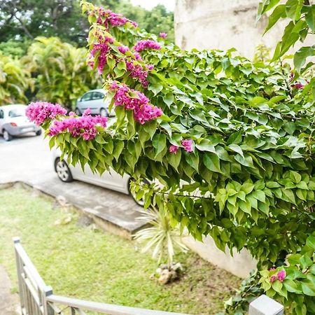 Color Garden - Studio Martinique แซ็งแตนน์ ภายนอก รูปภาพ