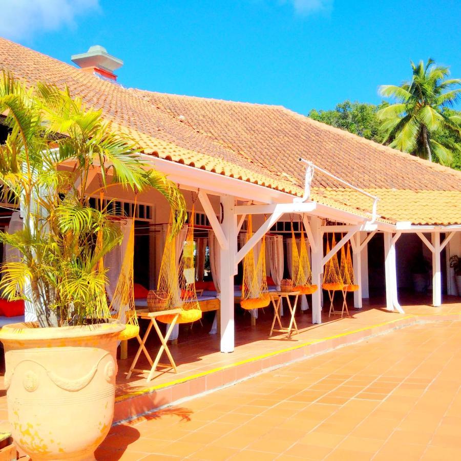 Color Garden - Studio Martinique แซ็งแตนน์ ภายนอก รูปภาพ