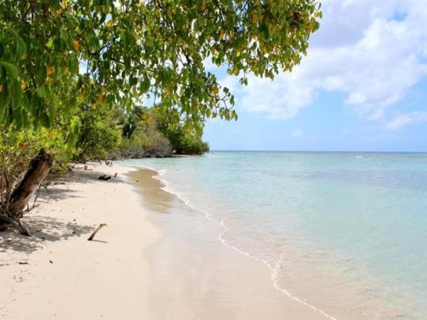 Color Garden - Studio Martinique แซ็งแตนน์ ภายนอก รูปภาพ