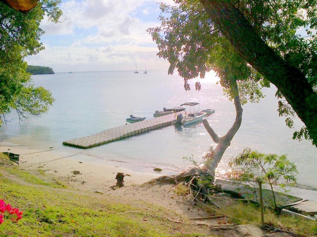 Color Garden - Studio Martinique แซ็งแตนน์ ภายนอก รูปภาพ